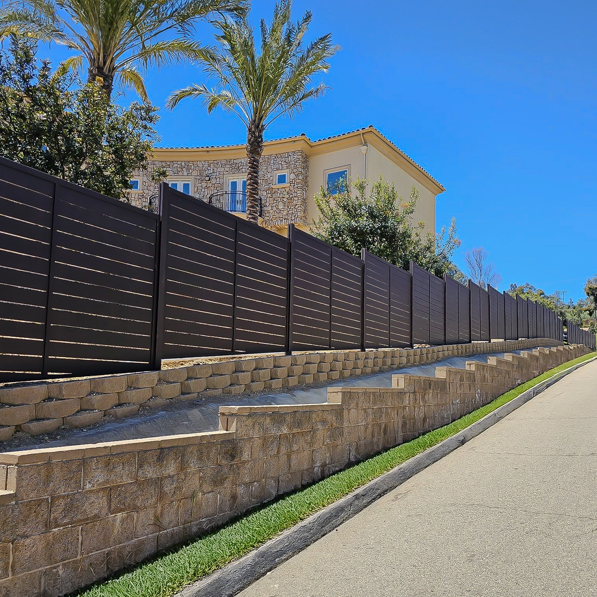 נמר15